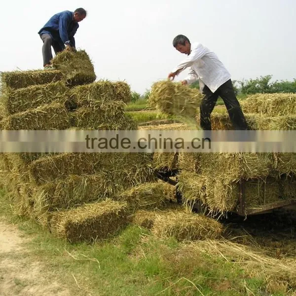 Best Price High Working Efficiency Tractor PTO Use Square Hay Baler, Grass Square Baler,straw Square Baler photo-5