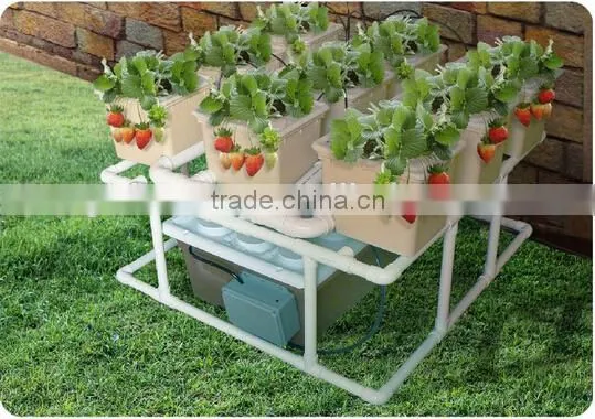 Drip Irrigation Hydroponics System Dutch Bucket for Strawberry