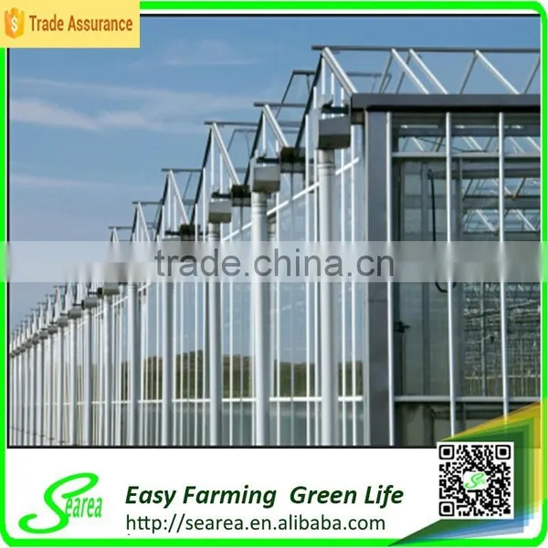 Serea Hot Sale Agriculture Glass Covering Greenhouse Shade /green-house photo-3