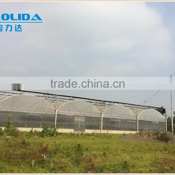 Balckout Greenhouse 0.08mm or 0.15mm PE Film Greenhouse Polythene Greenhouse photo-3