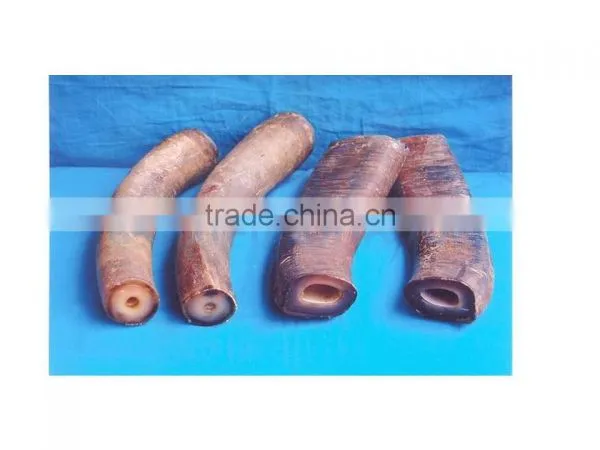Buffalo Horn Solid Tips photo-5