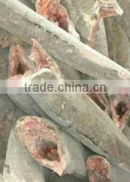 Oil Fish Whole Round Fish photo-2