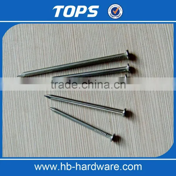 Common Nail photo-2