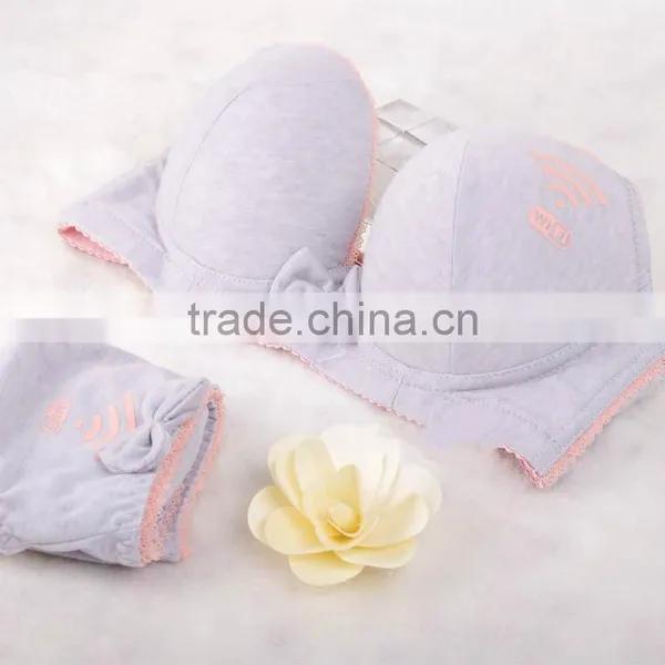 Young Girl Hot Xxx Sexy Push up 2016 Bra and Panty New Design photo-4
