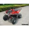 110cc Atv(quad /quad Bike)