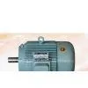 Y Series Motors