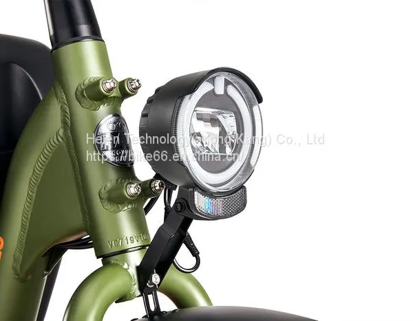 1000W Big Power Electric Folding Bike Electric Bicycles photo-5