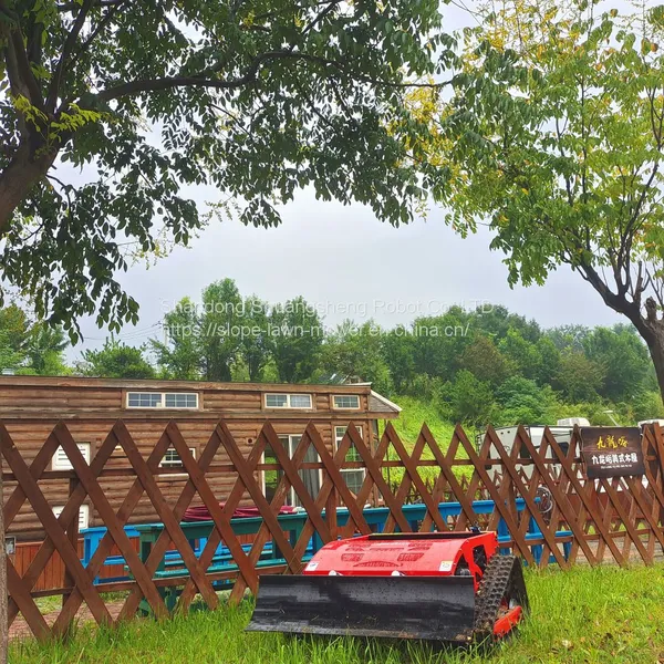 Slope Cutter, China Remote Control Slope Mower Price, Robot Lawn Mower for Hills for Sale photo-5