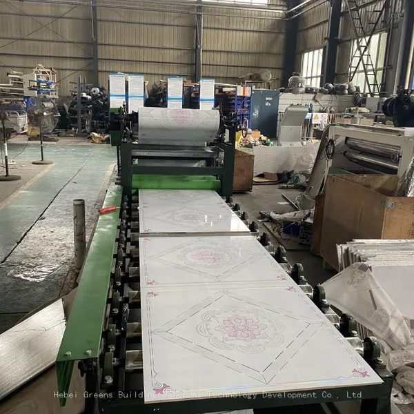 Small Scale Gypsum Board Lamination Machine 600*600 Gypsum Ceiling Tiles Making Machine photo-4