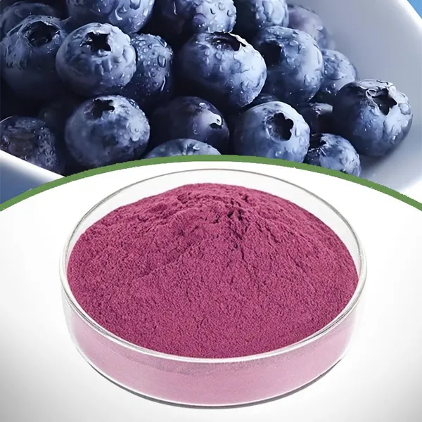 Bilberry Extract