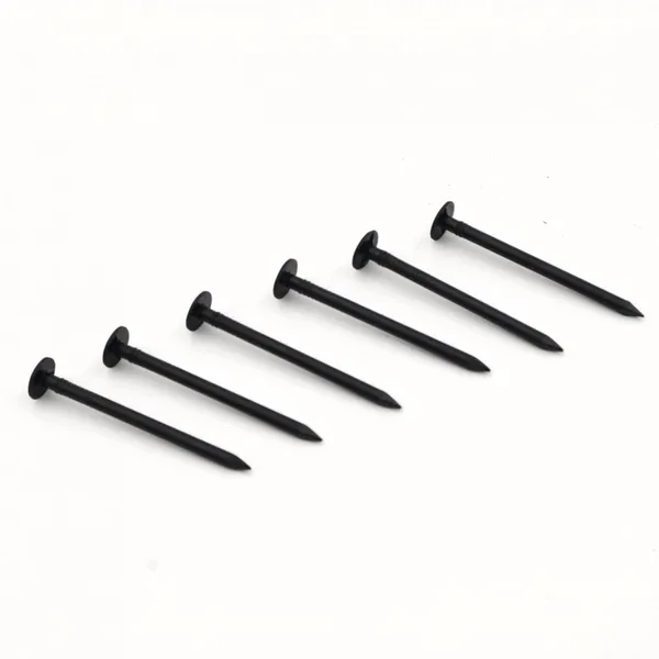 Straight Shank Black Nails Factory Direct Supply With Stable Lead Time photo-4