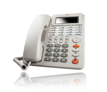 Voice Telephone
