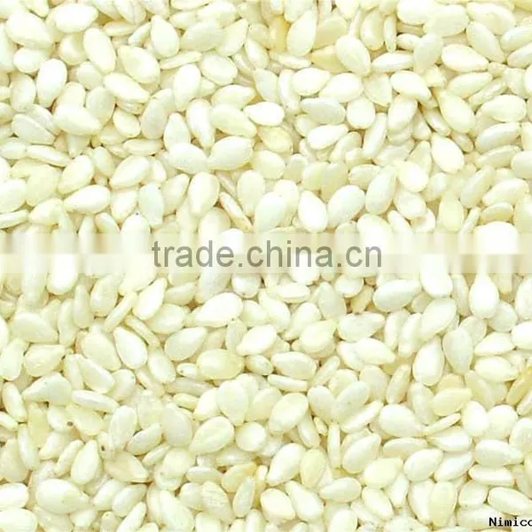 Hulled WaterMelon Seeds