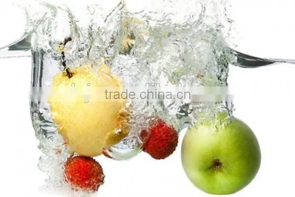 Factory Supply Directly Potato Washing Machine For Food Industry photo-3