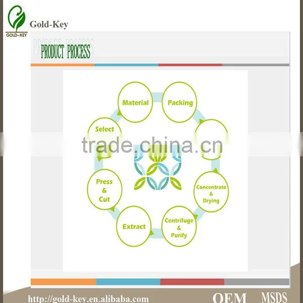 Hot Selling Olive Leaf Extract in Herbal Extract photo-4