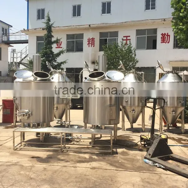 Ruijia Commercial Beer Brewery Equipment for Sale 50l photo-3