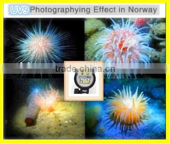 Multi-function Led Strong Light Flashlight for Photo 5200lumen photo-5