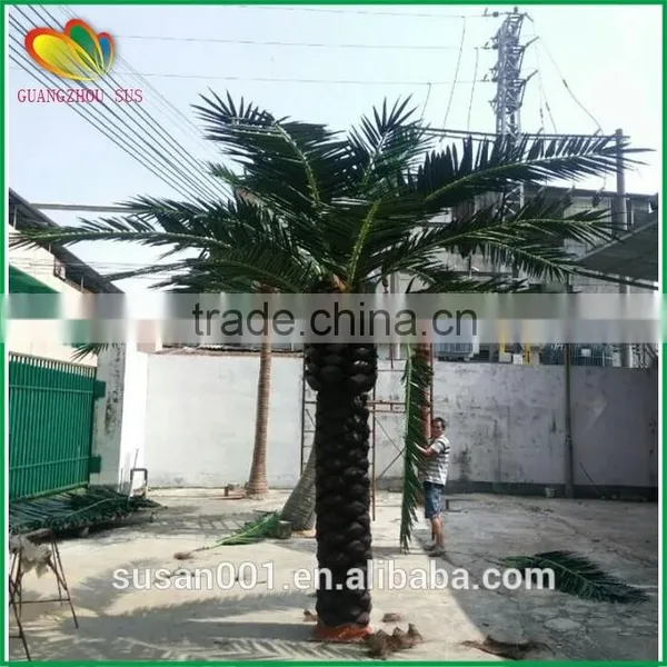 5m Fiberglass Trunk Artificial Date Palm Tree Cheap Price Artificial Palm Tree photo-5
