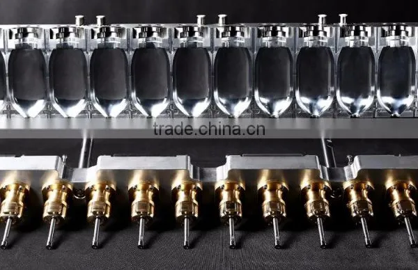 12 Cavity Blow Mold/Mould for PP Infusion Bottle