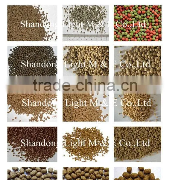 Floating Fish Feed Making Machine photo-5