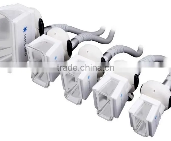 Christmas Promotion Clinic Beauty System Cryopolisis Machine photo-4