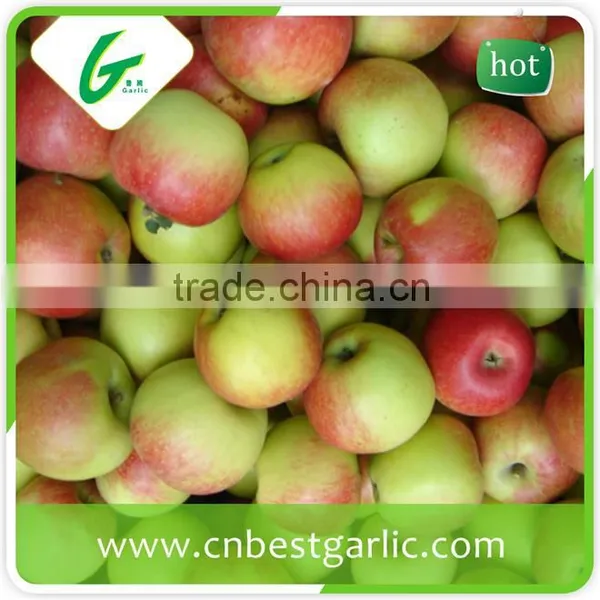 Chinese Grade A Fresh Royal Gala Apple photo-3