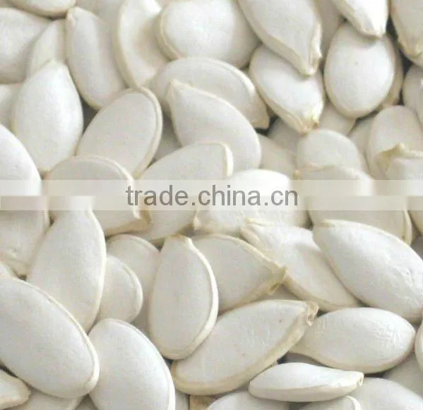 Chinese White Pumpkin Seeds for Sale