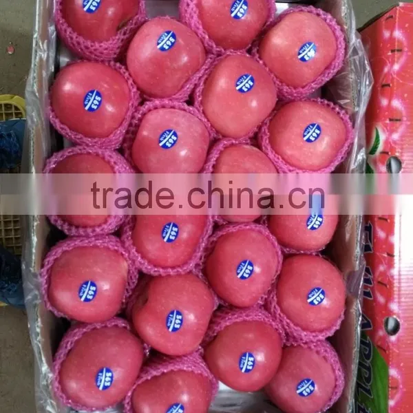 2016 China Red Honey Fuji Apple photo-2