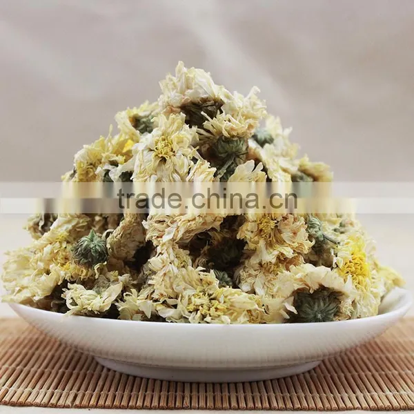 2015yr Huangshan Tribute Chrysanthemum photo-2