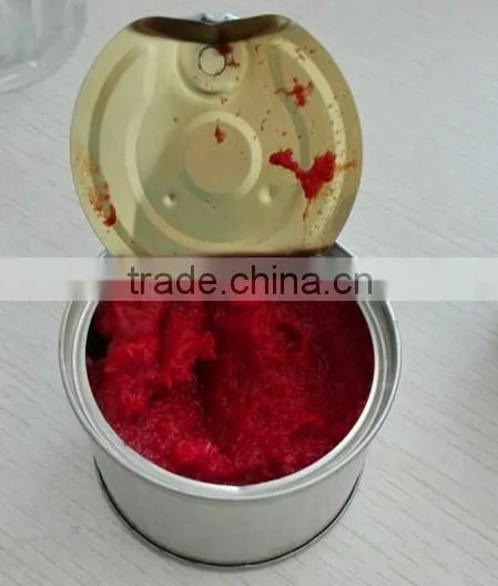 great seasoner,delicious china Tomato Paste