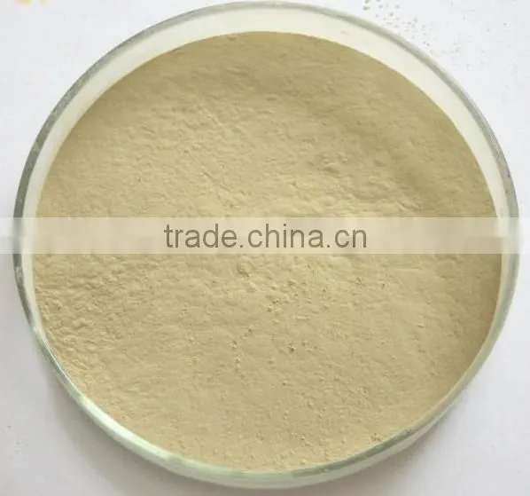 Low Price Hesperidin 90%-98% photo-4