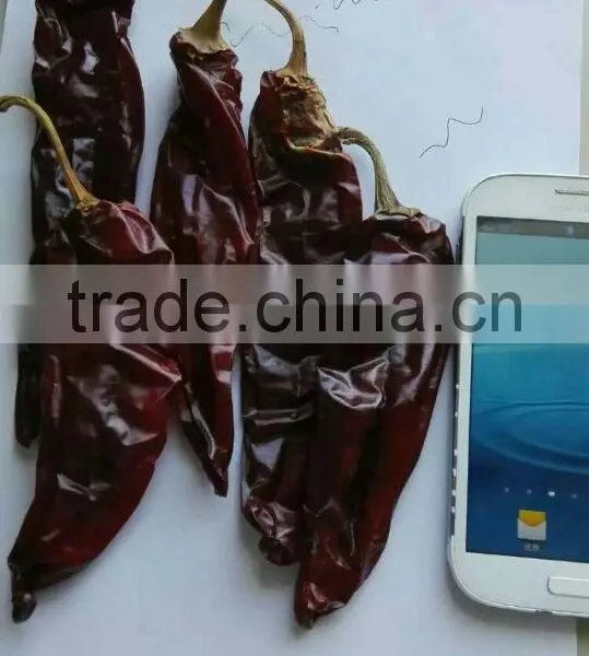 10 -15cm Sweet Dried Red Chili Paprika