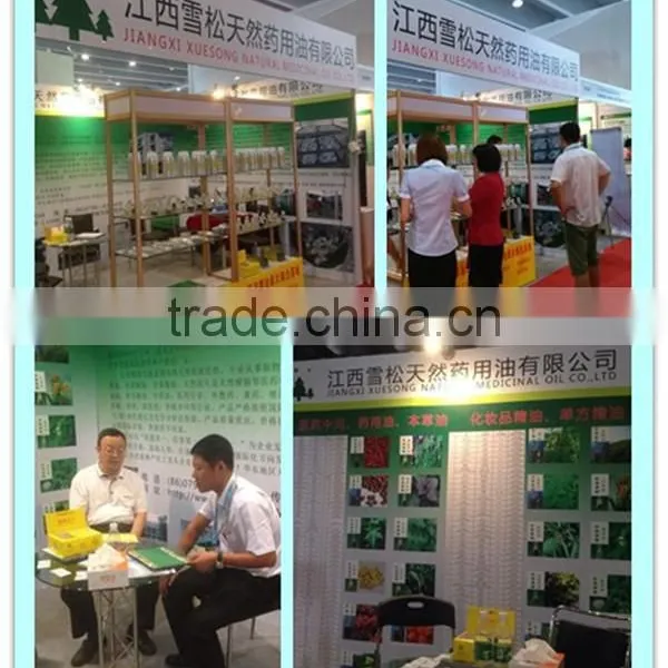 Pine Turpentine Oil Medical Grade for Improve Local Blood Circulation CAS 8006-64-2 photo-5