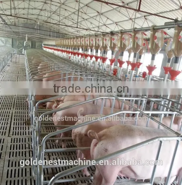 Goldenest Piggery Gestation Crate for Pigs Galvanized Single Stall for Sows photo-2