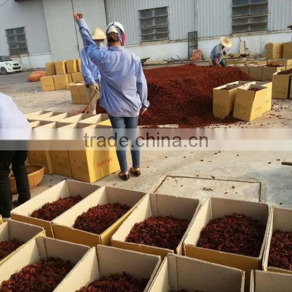 HIGH QUALITY STAR ANISEED FROM KEGO VIETNAM photo-2