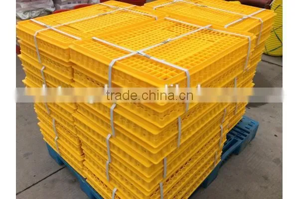 Poultry Box/live Chicken Box/transpotation Chicken Cages photo-4