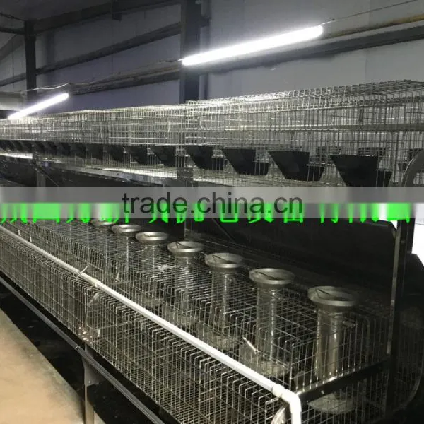 Rabbit Breeding Cages Indoor Rabbit Cages Back-up Two Floors of Rabbit Cages