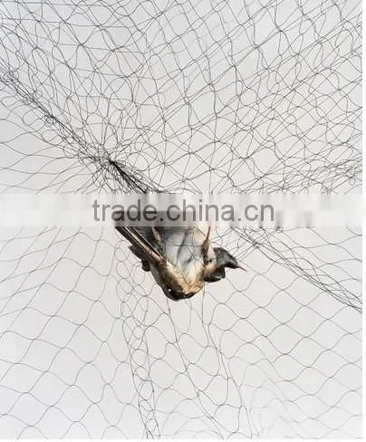 PE Nets Anti Bird Netting(Extruded) photo-4