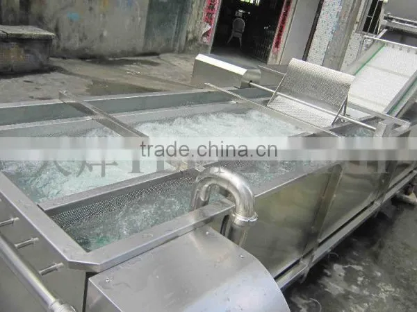 TW-307L Hot Sale Vegetable Washing Machine/ Fruit Washer/Vegetable Cleaning Machine photo-4