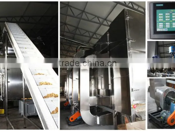 Prunes Multiple Layer Continuous Type Mesh Belt Dryer photo-4