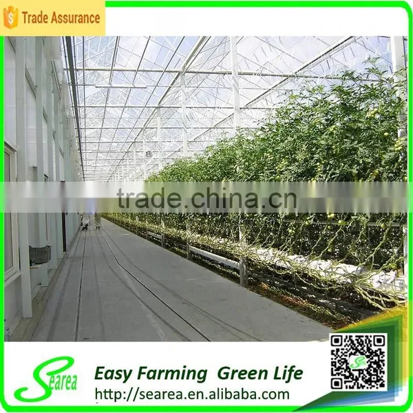 Natural Color Aluminium Profiles Greenhouse for Agricultural photo-3