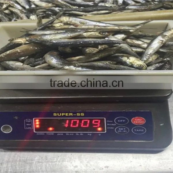 Sea Frozen Whole Anchovy photo-5