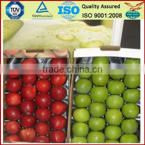Blister Tray Plastic Tray photo-2