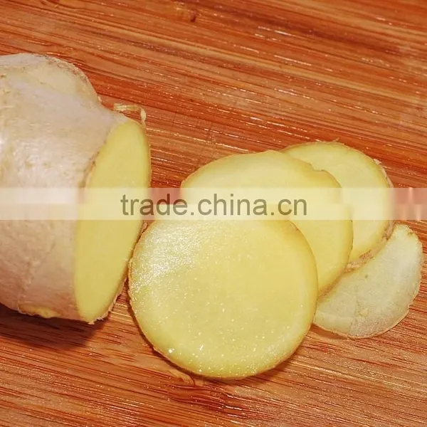 Young Ginger From China photo-4