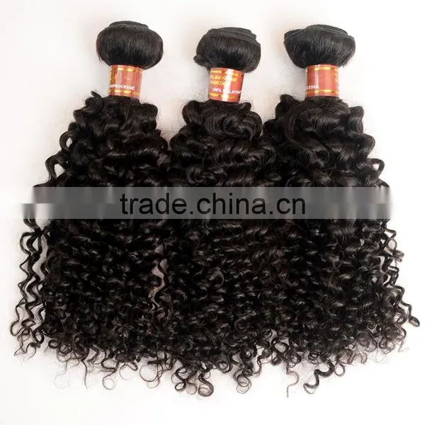 7A Grade Unprocessed Virgin Malaysian Curly Hair photo-6