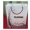 Paper Shoppinhg Bag