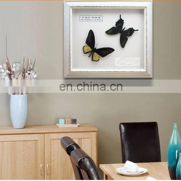 Dry Framed Butterfly Frame Wholesale LOW MOQ Good Quality photo-6