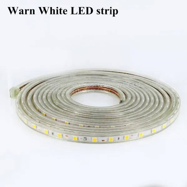 220V 60leds/m IP67 Waterproof Led Light Strip SMD5050 1 Meter Flexible Led Strip Light Christmas Party Led Flexible Tape photo-2