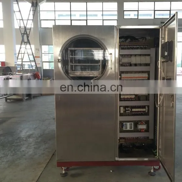 Vacuum Freeze Dryer Dryer Equipment photo-2