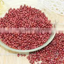 Newest Crop High Organic Adzuki Bean